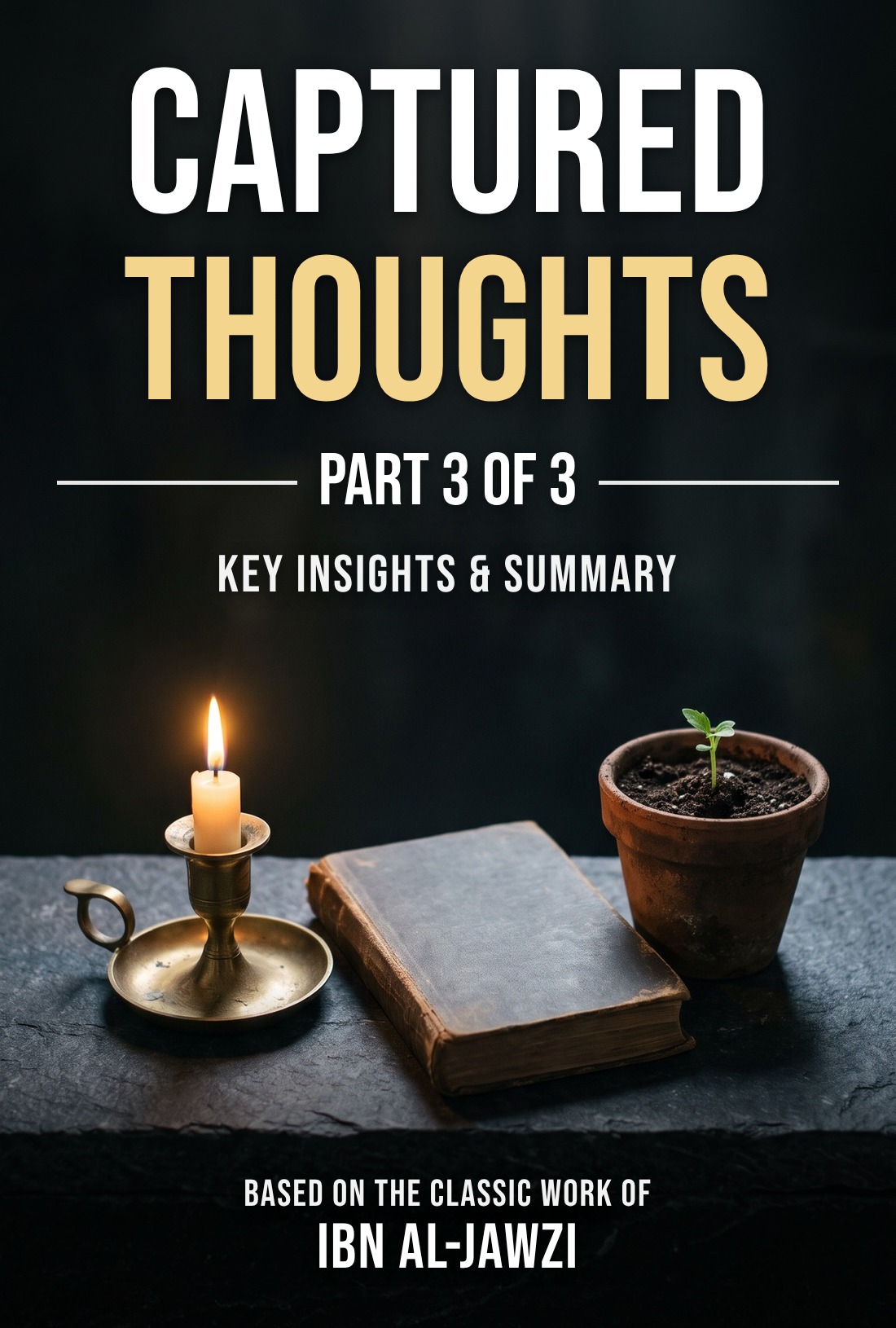 Captured Thoughts, Part 3 summary cover